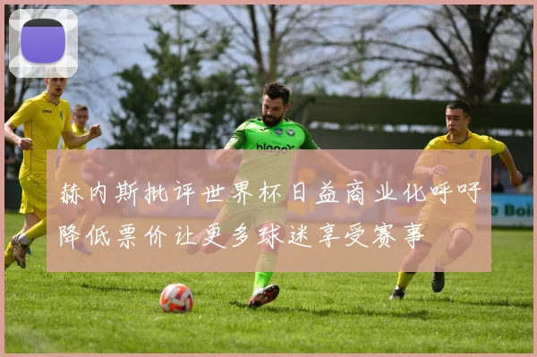 赫内斯批评世界杯日益商业化呼吁降低票价让更多球迷享受赛事